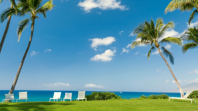 乒乓球台边上放什么好