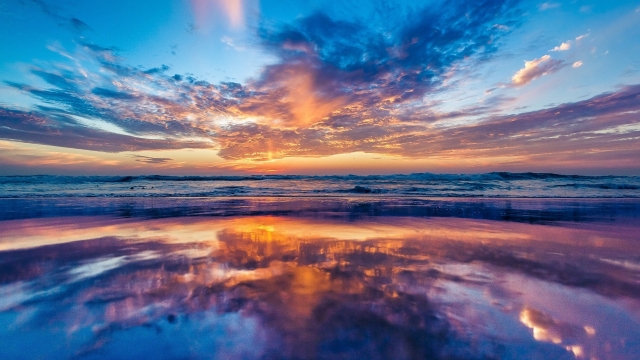 金年会集团：乒乓球台上的风景