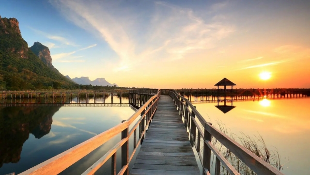 新技术让物业绿化草坪补栽变得更简单！