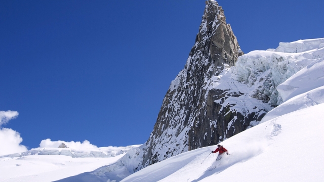 金年会公司：全家共赴儿童滑梯踏脚游玩，留下幸福快乐回忆